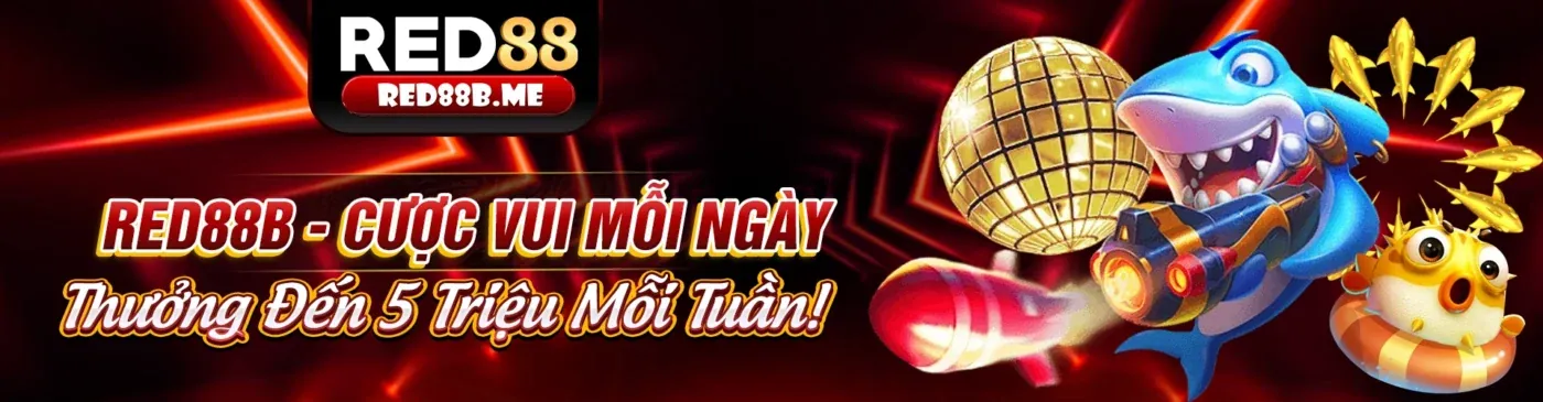 Ứng dụng shbet800 nhà cái trên điện thoại