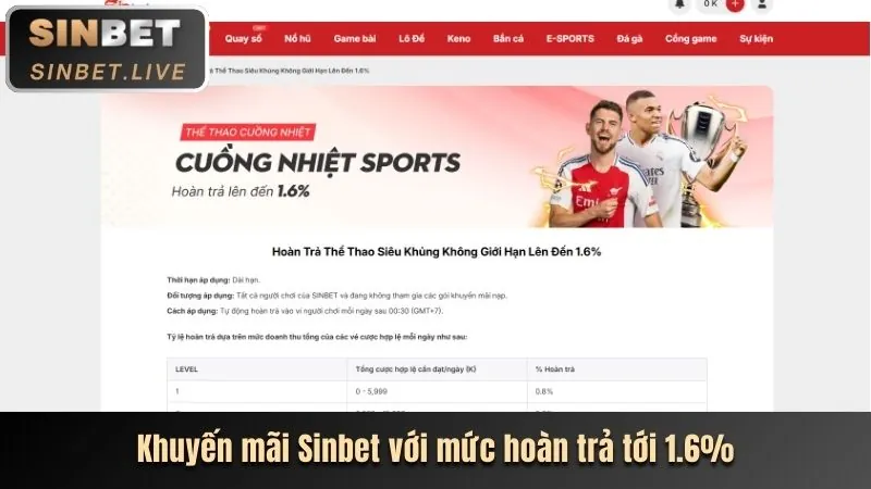 Chương Trình VIP shbet800